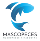 Mascopeces