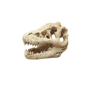 ADORNO FOSIL DE DINOSAURIO