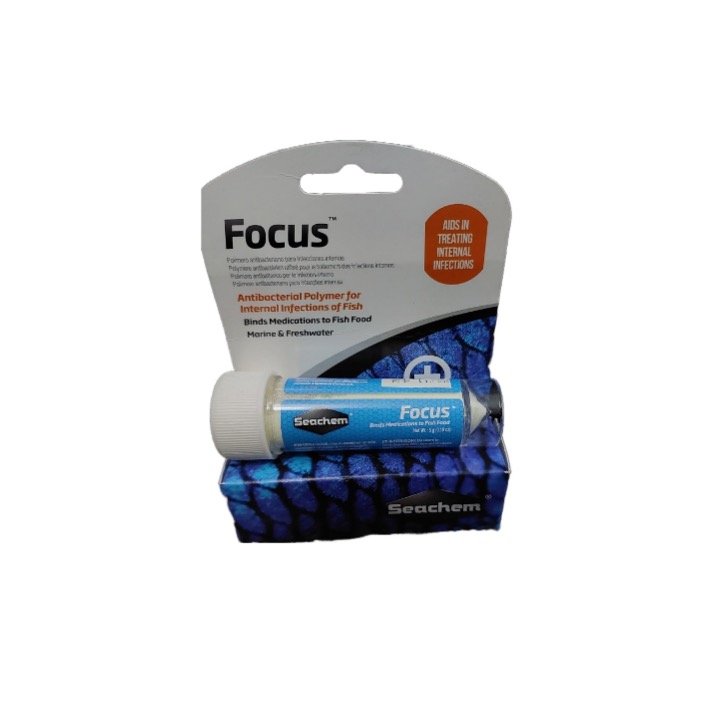 FOCUS 5G